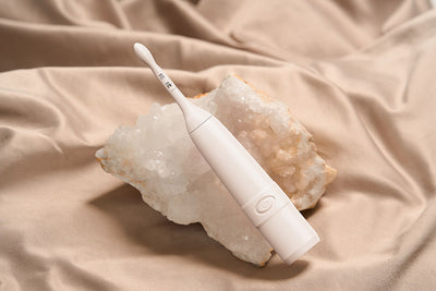 Celebrator II Sex Toy (Vibrator)