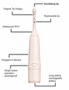 Celebrator II Sex Toy (Vibrator)